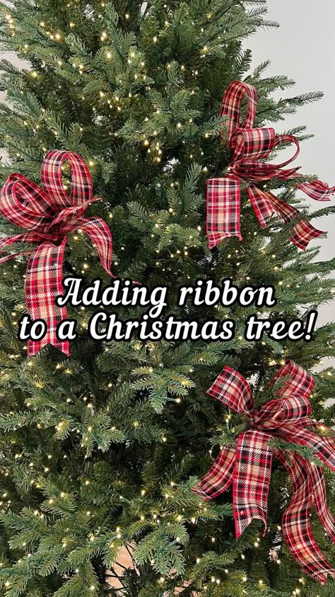 795K views · 2.3K shares | A simple way to decorate your Christmas tree this year using ribbon! 🌲🎀 #reels #diy #decor #christmas #christmastree | Nick’s Seasonal Decor | nicksseasonaldecor · Original audio Ribbon On Tree, Bows On Christmas Tree, Christmas Tree Ribbon Garland, Diy Decor Christmas, Christmas Tree Decorations Ribbon, Tree Decorations Diy, Tree Bows, Christmas Tree Inspo, Christmas Bows Diy