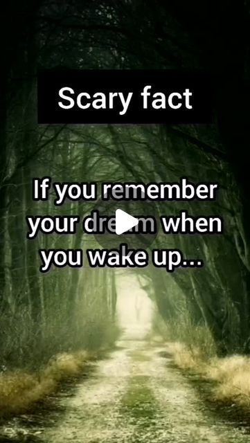 Self Love Facts on Instagram: "If you remember your dream when you wake up... 😳 #scary #facts #scaryfacts #fyp #fypシ #foryou #viral" Scary Facts, Love Facts, Wake Up, Your Dream, Dreaming Of You, Self Love, Bible, On Instagram, Instagram