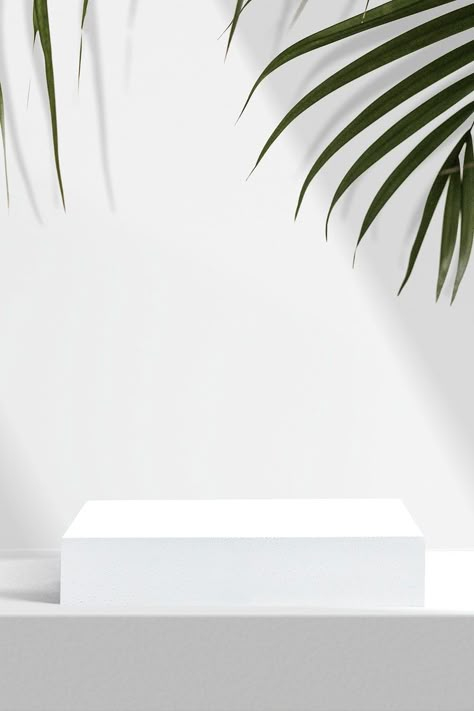 Download free image of Aesthetic product backdrop, palm leaves by beam about product display background, podium, white backgrounds, white podium, and product podium 3915152 Product Display Background, Product Backdrop, Podium Product, Display Background, White Background Photography, Podium Design, Product Background, White Background Wallpaper, Pastel Design