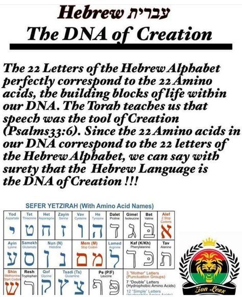 Hebrew Language Learning, Bible Evidence, Hebrew Language Words, Learning Hebrew, Hebrew Lessons, Christian Studies, Biblical Hebrew, Hebrew Alphabet, Days Of Creation