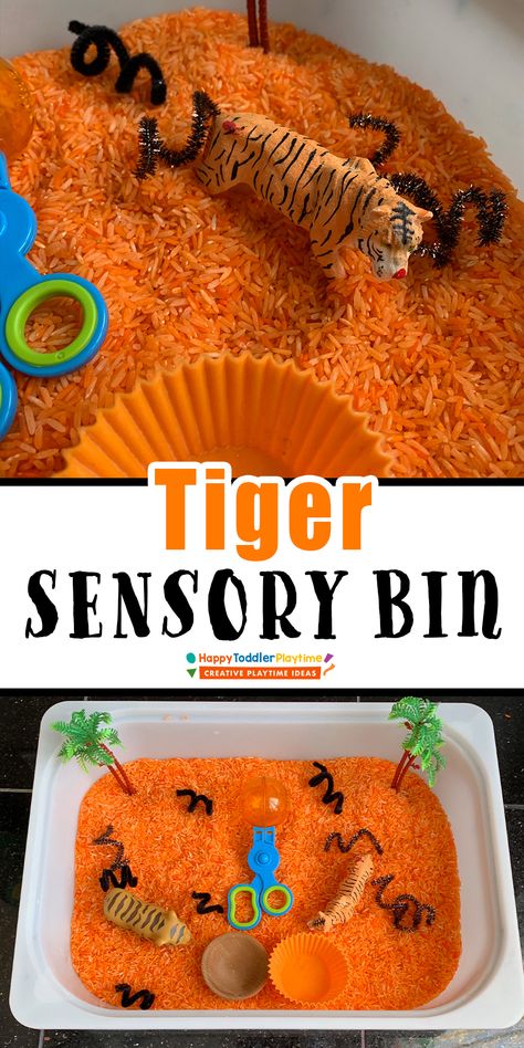 Tiger Sensory Play, Zoo Activities For Babies, Wild Animal Sensory Bin, Zoo Animals Sensory Bin, Tiger Learning Activities, Jungle Sensory Bin Preschool, Zoo Theme Sensory Bin, Preschool Tiger Activities, Zoo Animal Sensory Activities