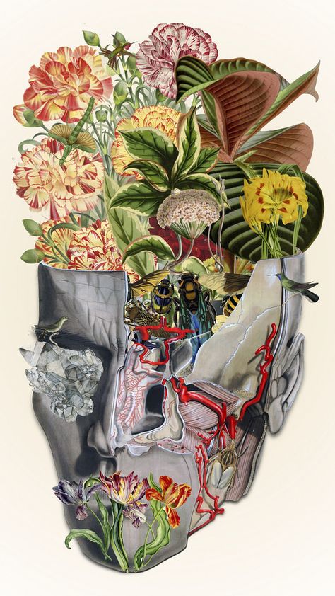 http://hifructose.com/2016/03/15/bedelgeuses-collages-blend-human-anatomy-with-nature/ Travis Bedel, Nature Collage, Brain Art, Medical Art, A Level Art, Collage Artists, Anatomy Art, Art Classes, Collage Art