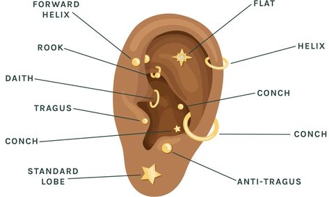 Styling 101 – STONE AND STRAND Ear Piercing Diagram, All Ear Piercings, Piercings Chart, Type Chart, Styling 101, Art Tricks, Ear Piercings Chart, Piercing Chart, Types Of Ear Piercings