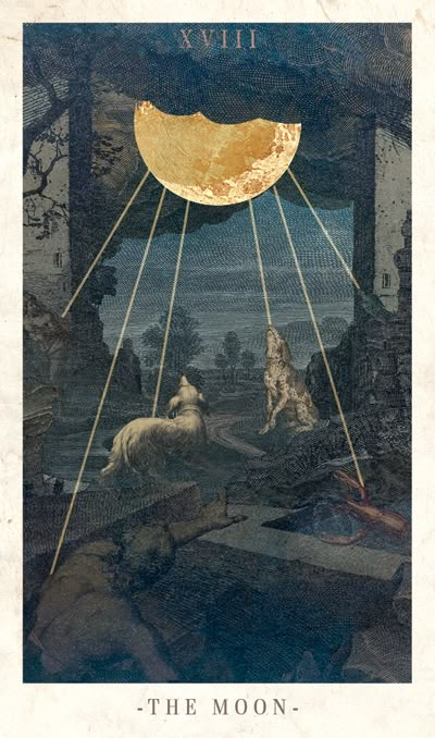 Moon Tarot Card, The Moon Tarot Card, Free Tarot Reading, The Moon Tarot, Howl At The Moon, Free Tarot, Arte Robot, Tarot Cards Art, Tarot Art