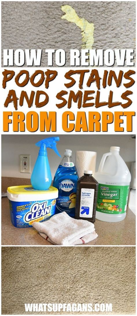 how to remove poop stains from carpet | remove diarrhea stains | human feces |carpet cleaning tutorial | cleaning tip hack | get rid of poop smell | excrement stain removal | home remedy cleaning solution | clean carpeting Cleaning Carpets With Vinegar, Carpet Stains Remover Diy, Rug Stain Remover Diy, How To Clean White Carpet, How To Spot Clean Carpet, Carpet Spot Remover Diy, Carpet Pretreatment Diy, How To Clean A Carpet, Vinegar Carpet Cleaner