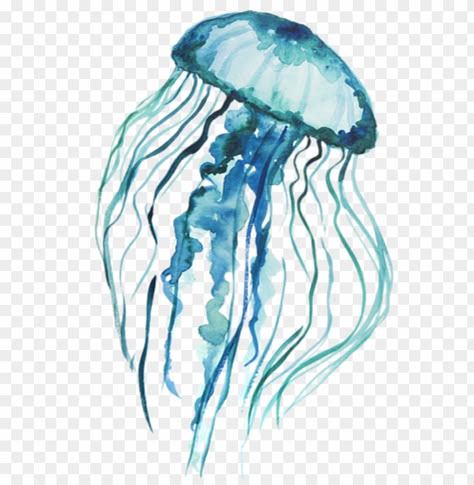 Jellyfish Png, Watercolor Jellyfish, Blue Jellyfish, Background Drawing, Clear Background, Png Icons, Watercolor Background, Jellyfish, Free Png