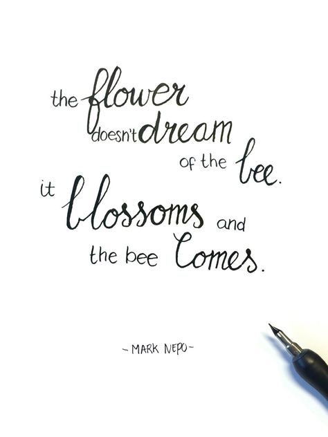 The flower doesn't dream of the bee. It blossoms and the bee comes. #quote #calligraphy #flower #life #handlettering #mark nepo Bees Quotes, Calligraphy Flowers, Bloom Quotes, Quotes Calligraphy, Wise Words Quotes, One Moment, The Bee, Wild Flower, 2024 Vision Board