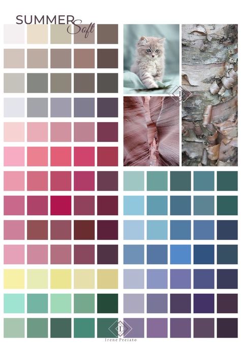 Cool And Muted Color Palettes, Summer Muted Cool Color Palette, Neutral Pink Outfit, Soft Cool Color Palette, Summer Pallet Color Analysis, True Summer Palette Colors, Dark Soft Summer Color Palette, Soft Summer Fall Colors, Soft Summer Season Color Palette