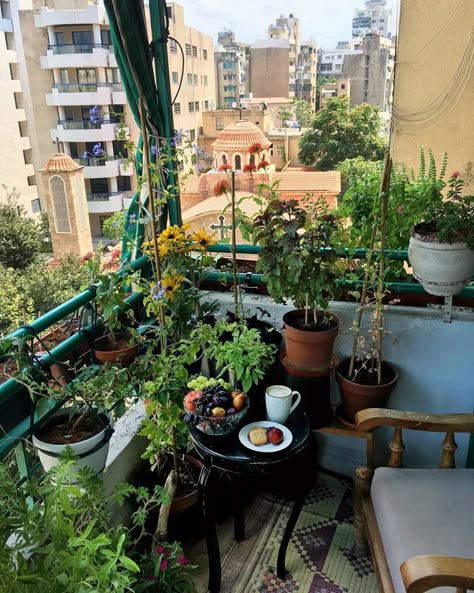 Karin on Instagram: “Sunday mood... 😊💚********************************************* #goodmorning #gardencoffee #kitchengarden  #coffeelover #herbgardening…” Balkon Decor, Small Balcony Garden, Future Apartment, Plants And Flowers, The Balcony, Dream Apartment, Apartment Balconies, Small Balcony, Balcony Decor