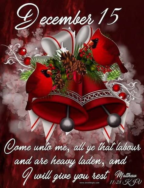 December Quotes, December Calendar, Quotes Christmas, Christmas December, Christmas Calendar, 12 December, Calendar 2020, Religious Quotes, Christmas Countdown