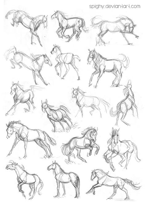 Horse Drawing Tutorial, Drawing Horses, Horse Art Drawing, Animal Sketch, Horse Sketch, Horse Anatomy, Animal Drawings Sketches, Easy Animals, Drawing Animals