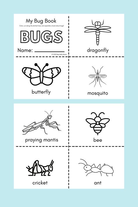 Bug Worksheets, Bug Activities, Insects Preschool, Bugs Preschool, Insect Activities, Activity For Preschool, Insect Crafts, Insects Theme, Bug Crafts