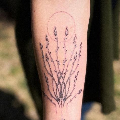 Jess Steidler on Instagram: "Dot work Ocotillo design. 

.
.
.
#ocotillo #plant #cactus #nature #naturetattoo #cactustattoo #floral #floraldesign #floraltattoo #dotwork #dotworktattoo #blackandgreytattoo" Ocotillo Tattoo, Ocotillo Plant, Cactus Tattoo, Plant Cactus, Dot Work Tattoo, Nature Tattoos, Black And Grey Tattoos, Cactus, Floral Design