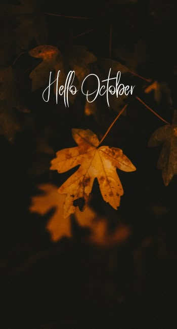 Iphone Wallpaper Hello October October Is Magic, Happy October Images, Hello October Wallpapers, Hello October Aesthetic, Welcome October Images, October Background, Hello October Quotes, Hello October Images, Autumn Aesthetic Halloween