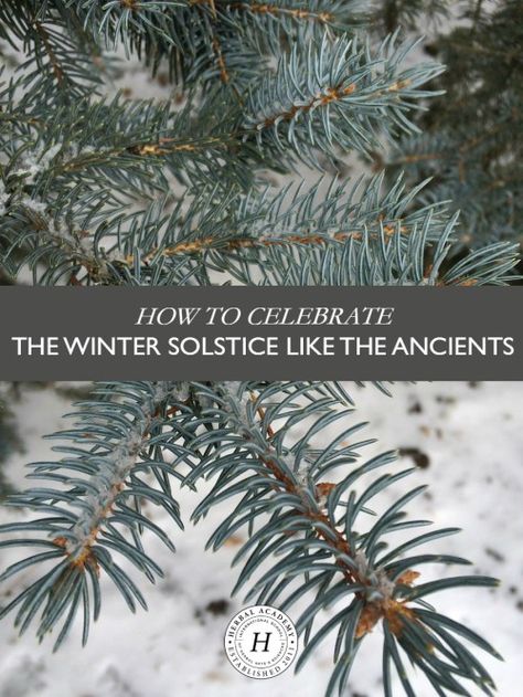 How To Celebrate The Winter Solstice Like The Ancients ––– The winter solstice is an astronomical event that has been celebrated since ancient times. We have several great ideas to help you celebrate! Winter Solstice Party, Winter Solstice Traditions, Yule Traditions, Yule Celebration, Solstice Party, Winter Solstice Celebration, Pagan Yule, Herbal Academy, Solstice And Equinox