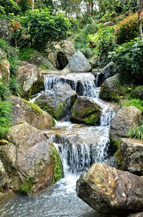 Decorations Items, Water Wall Fountain, Mini Waterfall, Dream Backyard Pool, Waterfall Photo, Garden Waterfall, Waterfalls Backyard, Waterfall Features, Pond Design