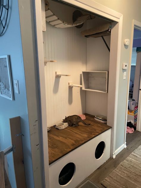 Closet converted to cat condo Cat Closet Diy, Cat Room In Closet, Diy Cat Closet, Closet Cat Room, Cat Closet Ideas, Cat Home Ideas Indoor, Cat Box Hide, Cat Closet, Cat Room Decor