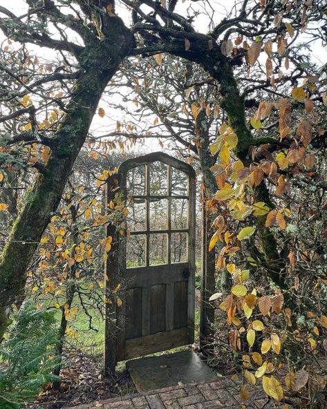 How to Create a Secret Garden Right in Your Own Backyard Secret Garden Ideas, Bamboo Garden Fences, Secret Garden Door, Secret Garden Book, A Secret Garden, Hidden Garden, Garden Entrance, Bamboo Garden, English Cottage Garden