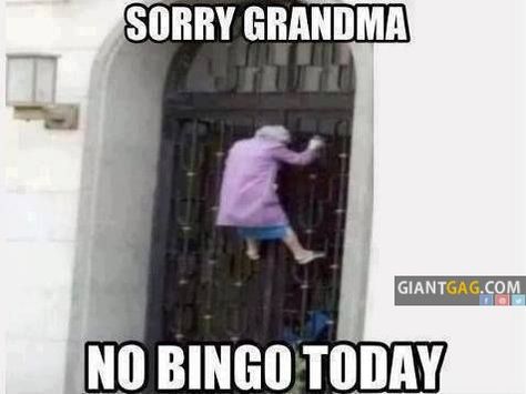 Pictures of the week, 82 images. Sorry Grandma, No Bingo Today Family History Quotes, Genealogy Humor, Wednesday Humor, Gym Memes, Friday Humor, Have A Laugh, Bones Funny, Family History, Genealogy