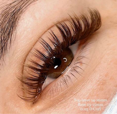 Lash Extensions Wet Effect, Brown And Black Lash Extensions Mixed, Brown Wet Lash Extensions, Fall Lash Extensions, Brown And Black Eyelash Extensions, Brown Eyelash Extensions Lashes, Brown Volume Lash Extensions, Light Brown Lash Extensions, Wet Look Lash Extensions Map