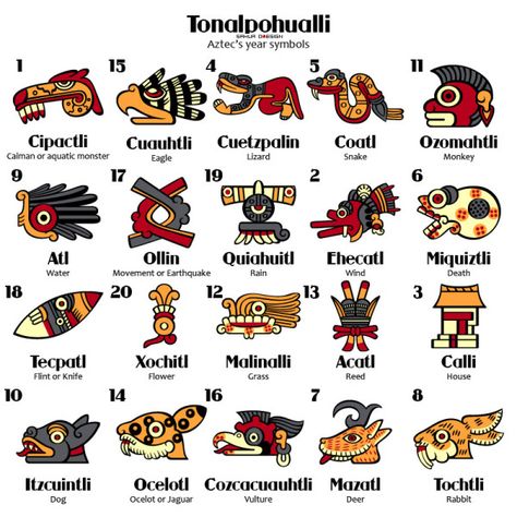 Tonalpohualli Symbols Art Chicano, Aztec Symbols, Mayan Symbols, Aztec Tattoo Designs, Ancient Aztecs, Aztec Culture, Mayan Calendar, Mayan Art, Aztec Tattoo