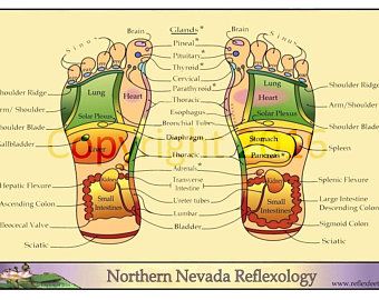 Reflexology Hand Chart | Etsy Reflexology Points, Sigmoid Colon, Reflexology Foot Chart, Hand Reflexology, Reflexology Chart, Acupressure Massage, Chakra Colors, Foot Reflexology, Reference Chart