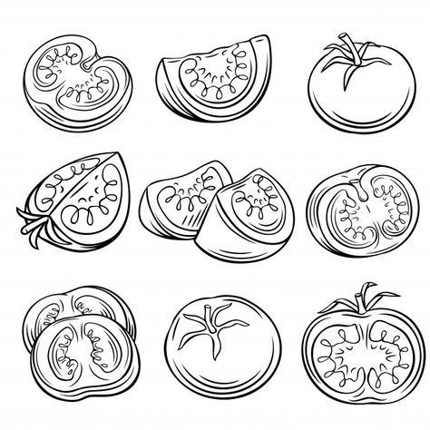 Tomato Tattoo Ideas, Tomato Vine Drawing, Tomato Line Drawing, Tomato Doodle, Tomatoes Illustration, Tomato Tattoo, Tomato Illustration, Tomato Drawing, Cherry Drawing