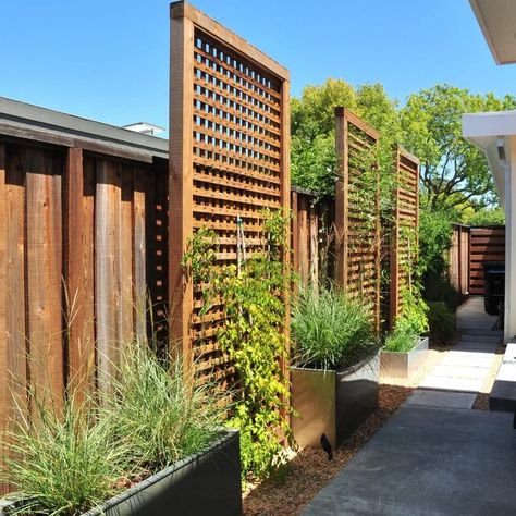 Raised Planter Boxes Front Yard Ideas - Photos & Ideas | Houzz Privacy Planter Boxes, Fruit Garden Layout, Patio Planter Boxes, Privacy Fence Landscaping, Privacy Planter, Backyard Design Ideas Budget, Privacy Fence Designs, Privacy Landscaping, Backyard Privacy