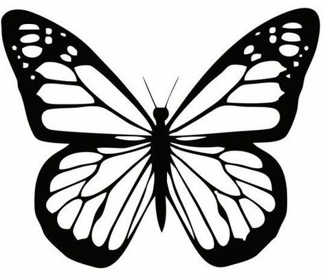 Flower Background Aesthetic, Aesthetic Flower Background, Butterfly Drawing Outline, Aesthetic Flowers Wallpaper, Clipart Butterfly, Flowers Black And White, Printable Butterfly, Butterfly Art Drawing, Butterfly Outline