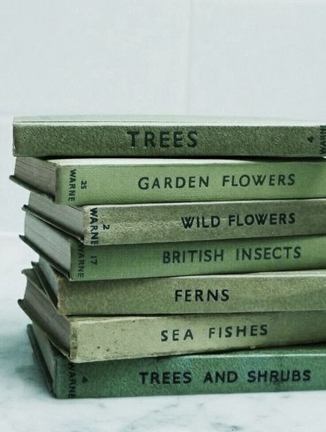 Green Inspo, Mint Aesthetic, Mint Green Aesthetic, Sage Green Wallpaper, Yennefer Of Vengerberg, Green Pictures, Dark Green Aesthetic, Slytherin Aesthetic, 카드 디자인