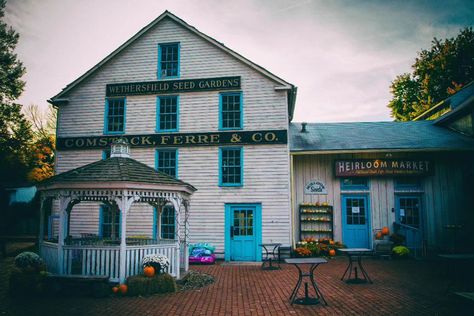 Historic Old Wethersfield, CT is a quaint, picturesque town steeped in rich history and packed with old New England charm. If you're looking for a place with fun, fall vibes, but don't want to deal with the chaos of Salem, I highly recommend @exploreoldwethersfield @ctvisit * * * #oldwethersfield #visitconnecticut #connecticut_igers #newengland #newenglandwithlove #historicnewengland #americanrevolution #historical #lhealeyphoto Wethersfield Ct, Visit Connecticut, Historic New England, The Chaos, Fall Vibes, Connecticut, Old And New, New England, A Place