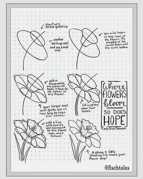 How To Draw Flowers, Draw Flowers, Flower Drawing Tutorials, Drawing Tutorials For Beginners, Flower Art Drawing, Wall Art Crafts, Flower Sketches, Floral Drawing, Cool Wall Art