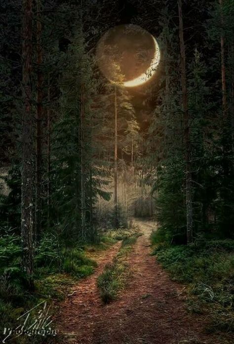 The Path You've Chosen - March, 2016 Forest Moon, Mystical Forest, Moon Pictures, Forest Path, Moon Photography, Beautiful Moon, 판타지 아트, Alam Yang Indah, Moon Art