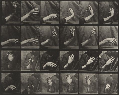 Eadweard J. Muybridge. Movement of the Hand, Beating Time: Plate 535 from Animal Locomotion. 1884-86 | MoMA Eadweard Muybridge, Animal Movement, Hand Gestures, Framed Postcards, Museum Of Fine Arts, Animals Images, Art Google, Canvas Pictures, Culture Art