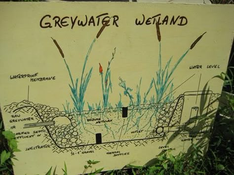 Gray Water Systems, Water Filtration Diy, Grey Water System Diy, Greywater System, Grey Water Recycling, Water Recycling, Grey Water System, Off Grid Tiny House, Sustainable House