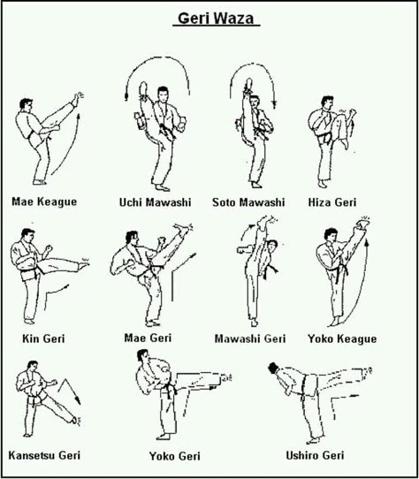 Karate Techniques, Shotokan Karate Kata, Goju Ryu Karate, Karate Moves, Karate Kata, Martial Arts Quotes, Karate Kick, Karate Training, Kyokushin Karate