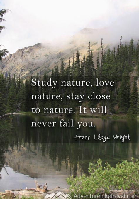 Hiking and Nature Quotes and sayings: "Study nature, love nature, stay close to nature. It will never fail you." -Frank Lloyd Wright Mountain Quotes, Nature Quotes Adventure, Quotes Nature, Camping Quotes, Hiking Quotes, Adventure Quotes, Closer To Nature, Frank Lloyd, Frank Lloyd Wright