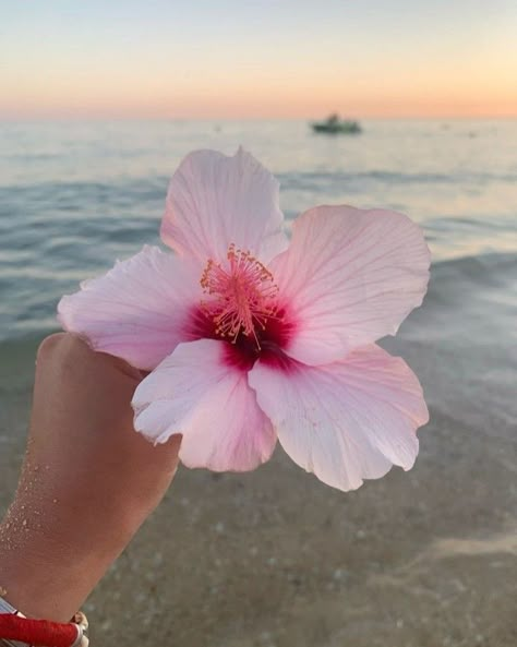 Hibiscus Dreams in Bali 🌸 Bali isn’t just about stunning beaches, it’s also a paradise of vibrant blooms that add magic to every moment. 🌴✨ This beautiful hibiscus flower perfectly captures the island’s tropical charm. From frangipanis to bougainvillea and bold hibiscus blossoms, Bali’s flowers are as colorful and captivating as its sunsets. 🌺 Every flower here feels like a symbol of beauty, serenity, and tropical vibes. Have you picked your favorite Bali bloom yet? Let us know in the comme... Unique Styles, Modern Boho, Slow Fashion, Hibiscus, Bali, With Love, Flowers