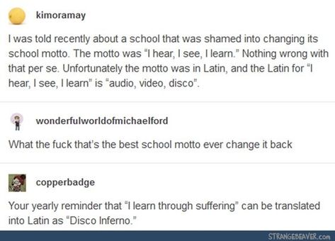 Tumblr School, Funny Quotes Tumblr, Funny Tumblr, 9gag Funny, Life Motto, Funny Tumblr Posts, Disney Memes, School Humor, Life Humor