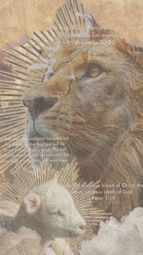 Lamb Aesthetic, The Lion And The Lamb, Lion And The Lamb, Lion Lamb, Lion And Lamb, Aesthetic Christian, Proverbs 16, Christ The King, Bible Quotes Wallpaper