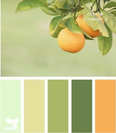 Color Palate, Design Seeds, Orange Tree, Color My World, Trik Fotografi, Green Kitchen, Color Stories, Colour Combinations, Green And Yellow