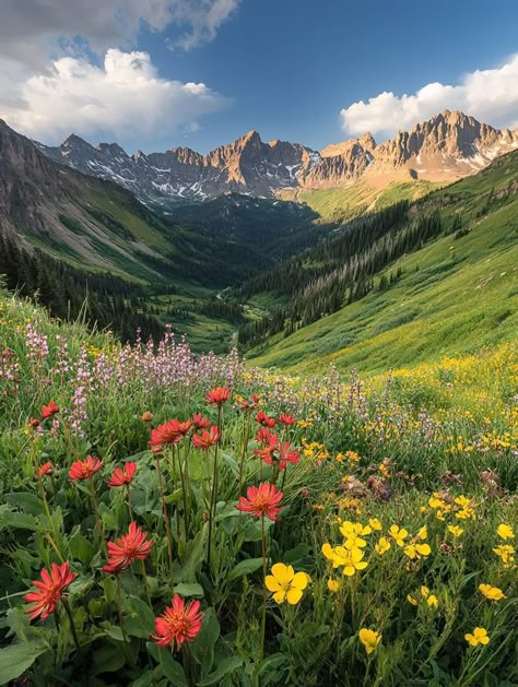 Colorado Springs Aesthetic, Aesthetic Colorado, Colorado Aesthetic, Colorado Photography, Colorado Trip, End Of The Road, Mountain Photos, Mountain High, Dream Place