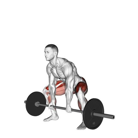 Sumo Deadlift, Standing Calf Raise, Barbell Deadlift, Assisted Pull Ups, Good Back Workouts, T Bar Row, Warrior Workout, Single Leg Deadlift, Exercise Videos