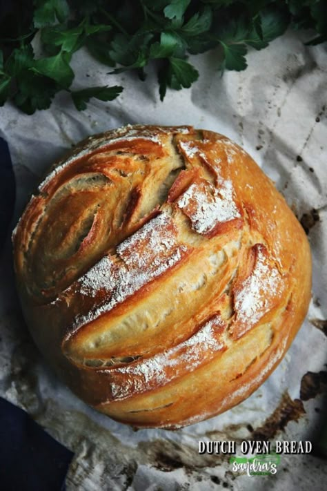 Dutch Oven Bread: Bread for beginners Sandra's Easy Cooking Dutch Oven Yeast Bread, Cooking Bread In A Dutch Oven, Artisan Yeast Bread, Yeast Bread In Dutch Oven, Crusty Bread Dutch Oven, One Hour Dutch Oven Bread, Vegan Dutch Oven Bread, Simple Dutch Oven Bread, Bread Recipes For Dutch Oven