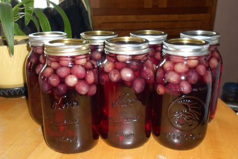 Grape Juice in a Jar Canning Grape Juice, Homemade Grape Juice, Grape Juice Recipe, Grape Recipes, Home Canning, Pressure Canning, Grape Juice, Healthy Juices, Cranberry Juice