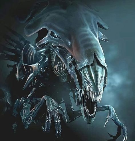 Xenomorph Queen Xenomorph Queen, Alien Franchise, Fermi Paradox, Aliens Colonial Marines, Giger Alien, Sylvanas Windrunner, Predator Alien Art, Giger Art, No Connection