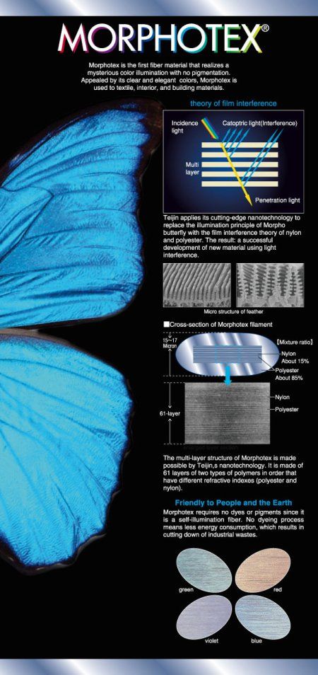 Biomimicry: Structural Color | Beautiful Networks Biomimetic Architecture, Bionic Architecture, Bio Mimicry, Biomimicry Examples, Biomimicry Design, Biomimicry Architecture, Bionic Design, Art Shed, Smart Materials