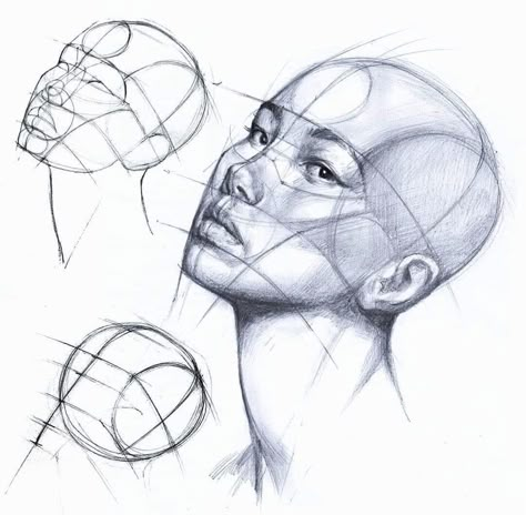 Human Anatomy Drawing, Drawing Heads, Human Anatomy Art, Anatomy Sketches, Portraiture Drawing, Anatomy Drawing, Drawing Skills, Anatomy Art, Art Tutorials Drawing