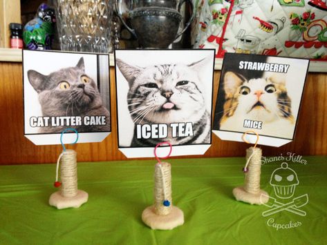 Crazy Cat Lady Party | Shane's Killer Cupcakes Cat Lady Birthday, Kitty Litter Cake, Blue Curacao Liqueur, Cat Lady Humor, Cat Baby Shower, Cat Themed Birthday Party, Cat Shaming, Nerds Candy, Blue Drinks