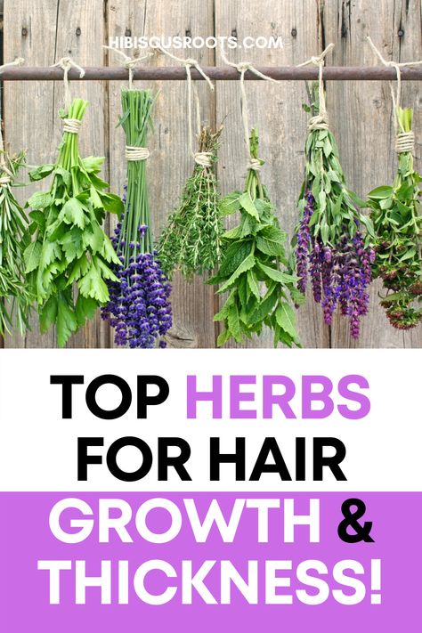 Here are the best ayurvedic herbs for natural hair growth and thicker hair. Also learn about the benefits of ayurvedic herbs for hair! Herbs That Promote Hair Growth, Best Herbs For Hair Growth, Natural Herbs For Hair Growth, Ayurvedic Herbs For Hair, Herbs And Their Benefits, Hair Herbs, Medicinal Gardening, Baby Hair Growth, Thick Edges